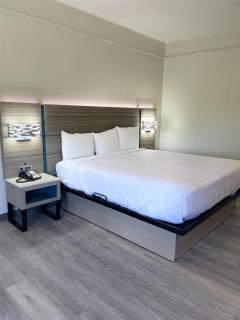 Sonesta Essential North Houston - Houston - 4