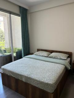 Cozy City Apartment in Tbilisi, Georgia - Tbilisi - 5