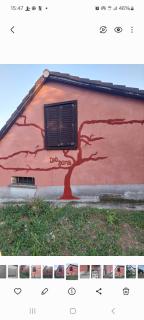 Köveskál Diódomb apartmann - Köveskál - 0