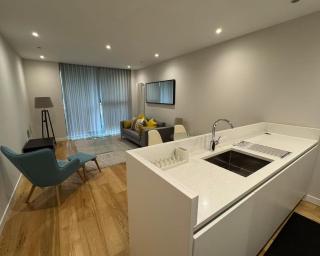 Stylish 2BR Apt in QuarterMile Meadows Park Views - Edinburgh - 9