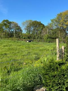 Trelowen Cottage - Callington - 8