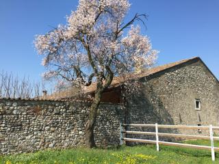 Antico Cascinale Lombardo - Lonato - 6