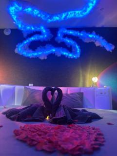Love paradis jacuzzi spa - Vieille-Toulouse - 6