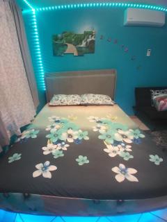 Studio-01 - Lutz - 5