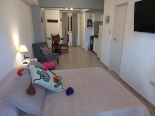 Monoambiente Av Avellaneda Barrio Norte - San Miguel de Tucumán - 0