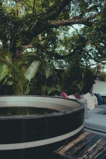Miami Wellness Sanctuary with Sauna, Cold Plunge and Hot Tub - Miami - 2