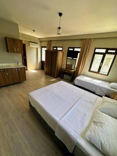 Viyana otel - Cesme - 5
