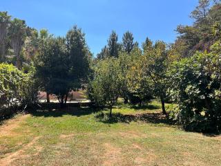 Séjour détente avec Piscine - Hyères - 8