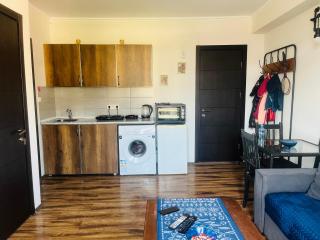 Ivas Apartment in Bakuriani - Bakuriani - 7