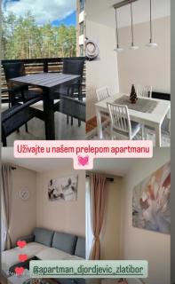 Apartman Đorđević Zlatibor Vila Elsa 4 - Zlatibor - 7