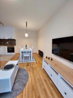 Apartman Đorđević Zlatibor Vila Elsa 4 - Zlatibor - 0