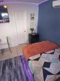 Cozy Studio Apartment! - Lutz - 2