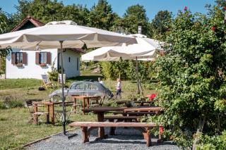 Waldesruh - Kulm im Burgenland - 5