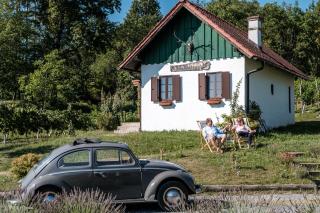 Waldesruh - Kulm im Burgenland - 3