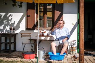 Waldesruh - Kulm im Burgenland - 2