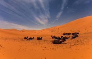 Merzouga Classic Camp - Merzouga - 6