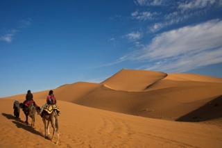 Merzouga Classic Camp - Merzouga - 8