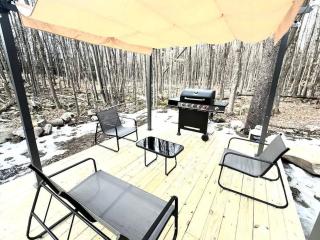 The Hut House 3BR 3BA Game Room Massage Chair - Lake Ariel - 1