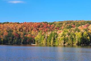 Tranquil Bay on Crystal Clear Lac McGlashan - Cantley - 5