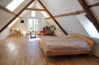 Ferienhaus mit Garten Bodensee nah - Bad Waldsee - 9