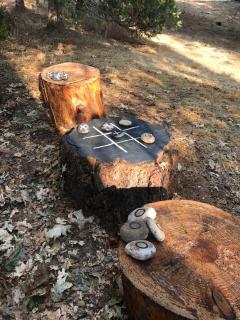 Fire Escape Cabin-Southern Yosemite - 7