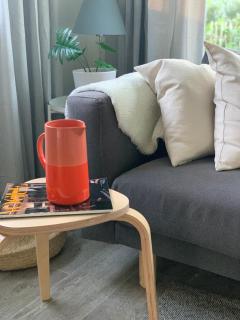 Tiny House op de Veluwe Epe - 1