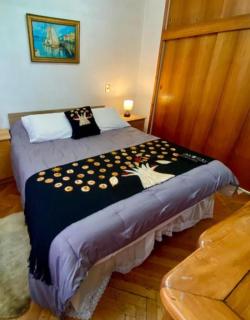 Lindo Departamento Centro - Osorno - 5