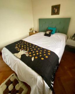 Lindo Departamento Centro - Osorno - 4