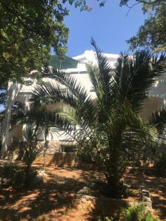 Apartmani Šehović - Borovići - 8