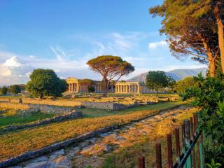 IL GIARDINO DI ATHENA - Paestum - 2