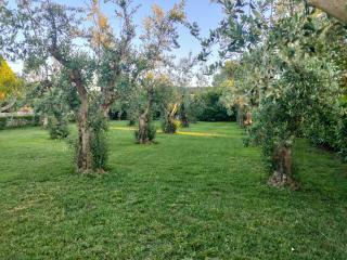 IL GIARDINO DI ATHENA - Paestum - 5