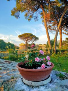 IL GIARDINO DI ATHENA - Paestum - 6