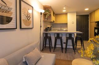 Discover the City Modern 1BR1BA - Santiago - 5