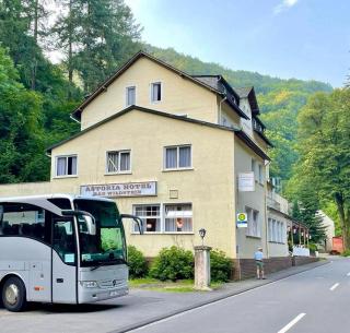 Astoria Hotel in Traben Trarbach - Traben-Trarbach - 4