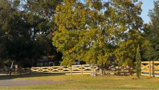 Black Sheep Hideaway Modern Countryside Serenity - 5
