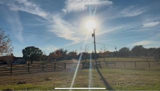 Black Sheep Hideaway Modern Countryside Serenity - Clermont - 9