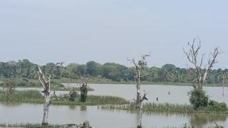 Sandaliya Rest - සඳලිය රෙස්ට් - 4