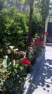 Guest House Emi - Berat - 6