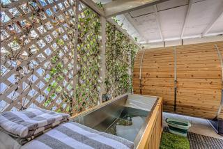 Trendy 2 BDR with Sauna & Cold Plunge Close to DT - Austin - 8