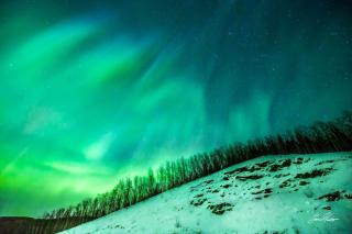 Aurora Denali View Lodge - Alaskan Retreats - Nenana - 6