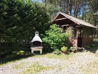 Wczasy na Kaszubach, balia, sauna, jezioro - Wąglikowice - 5