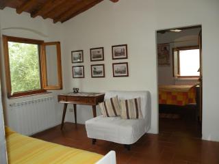 Chiantihouse country house with garden and wifi - 1