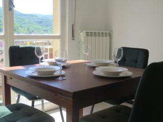 House of Jane-2 Free PRIVATE Parkings- - Rapallo - 8