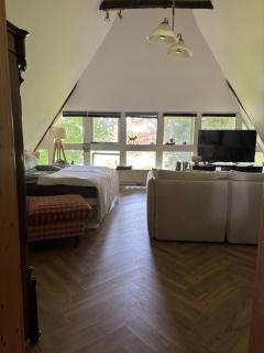 Reetdachtraum in Wischhafen - 2