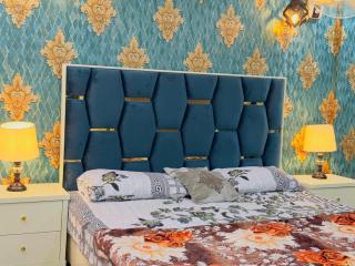 1 bed fully furnished apartment - Lahore - 3