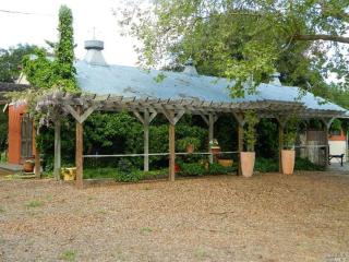 Charming Milk Barn Home on Vineyard Estate - Forestville - 4