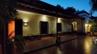 Nido de Pajaros - Concepción - 5