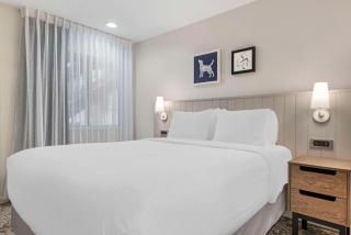 Sonesta ES Suites Torrance Redondo Beach - Torrance - 6