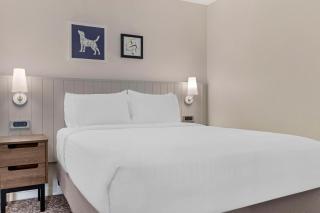 Sonesta ES Suites Torrance Redondo Beach - Torrance - 5