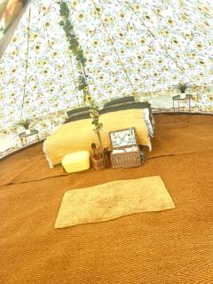Wildside Camping & Glamping - Ashford - 4